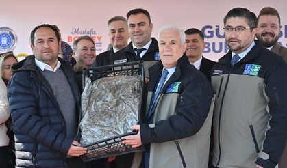 Bursa'da çiftçiye 1,2 milyon adet çilek fidesi