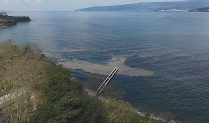 Müsilaj Gemlik Körfezi'nde yeniden görüldü
