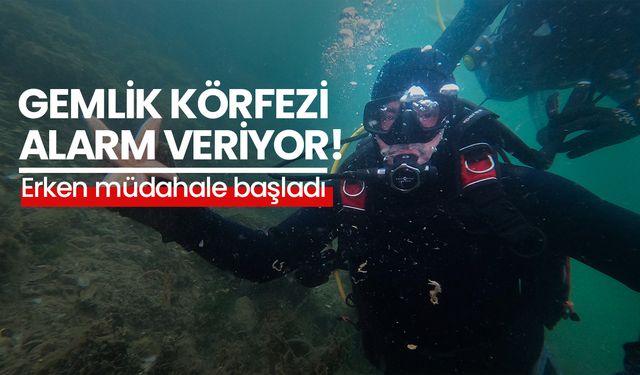 Gemlik Körfezi'nde müsilaja karşı erken müdahale başladı