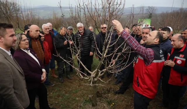 İzmit'te üreticilere uygulamalı budama ve aşılama eğitimi