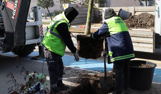 Sakarya'da yeşil’ dokunuşla şehrin çehresini değiştiriyor