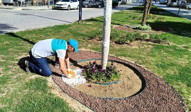 Manisa'da yeşil alanlara estetik dokunuş