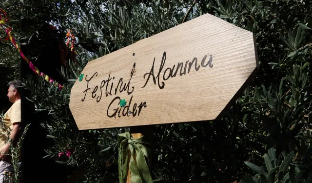 Gemlik Zeytini'nde uluslararası coşku