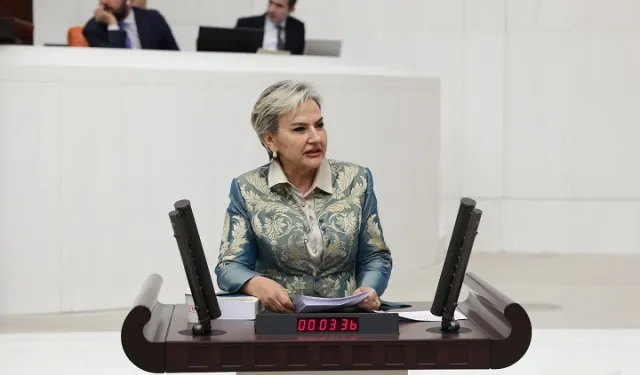 Milletvekili Özdemir öğrencilerin aç okula gitmesini TBMM'ye taşıdı