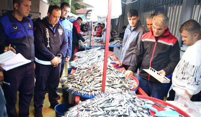 Bursa Yenişehir'de balık pazarına sıkı denetim