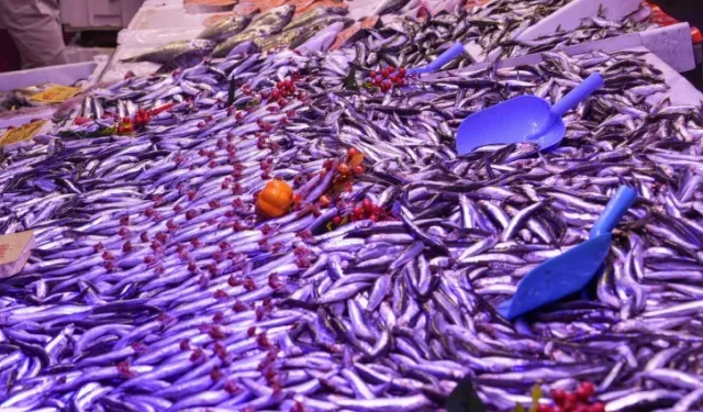 Eskişehir'de balık satış yerlerine ortak denetim