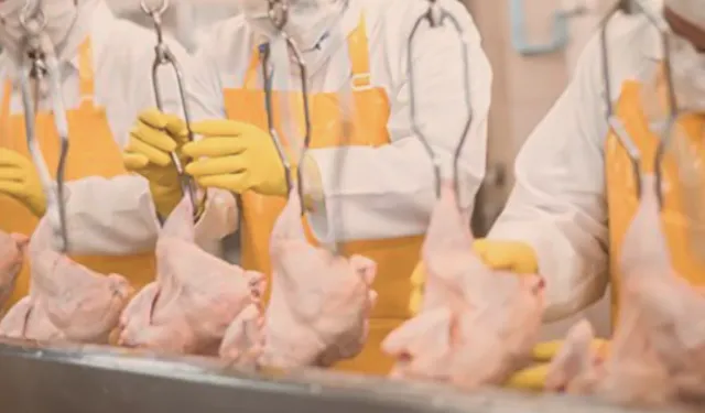 Filipinler'e kanatlı eti ve su ürünleri yolu açıldı