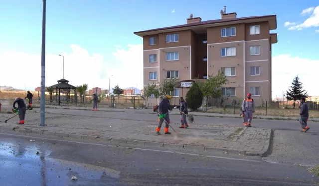 Kayseri Melikgazi'de genel sonbahat temizliği
