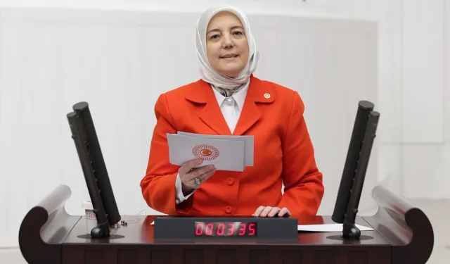 AK Partili Yavuz Gözgeç: Bütçemizin istikameti Türkiye Yüzyılı'dır