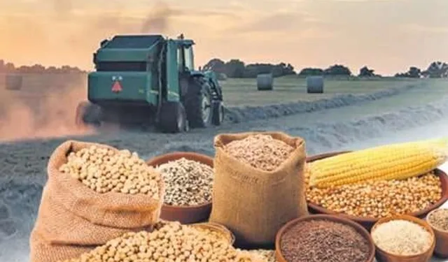 Tarım-ÜFE 2025'in son ayında da güçlü seyrini sürdürdü