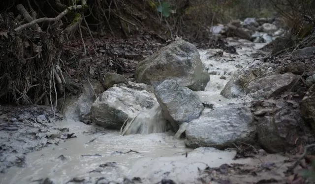 Yenişehir Kirazlıyayla'da binlerce ton kimyasal doğaya karıştı!