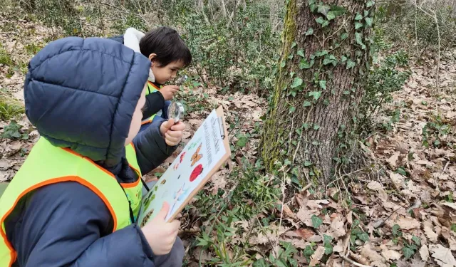 Lokomotif'in minikleri Ormanya'da keşfetti