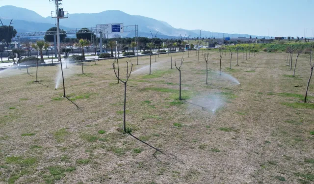 Manisa'da yeşil alanlarda akıllı sulama dönemi