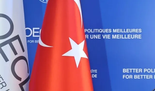 OECD İstanbul Merkezi Protokolü 'Resmi'leşti