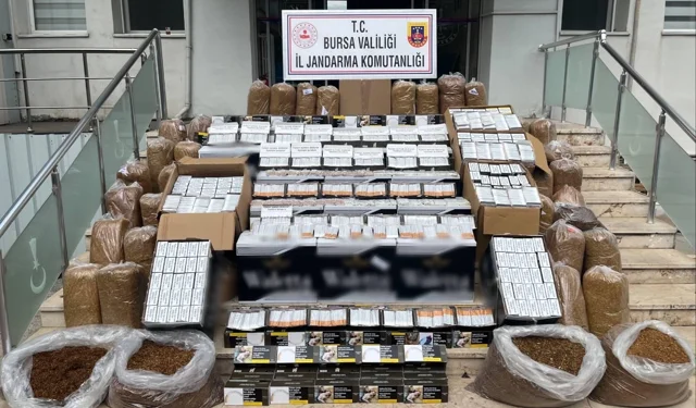 Gemlik'te kaçak tütün operasyonu