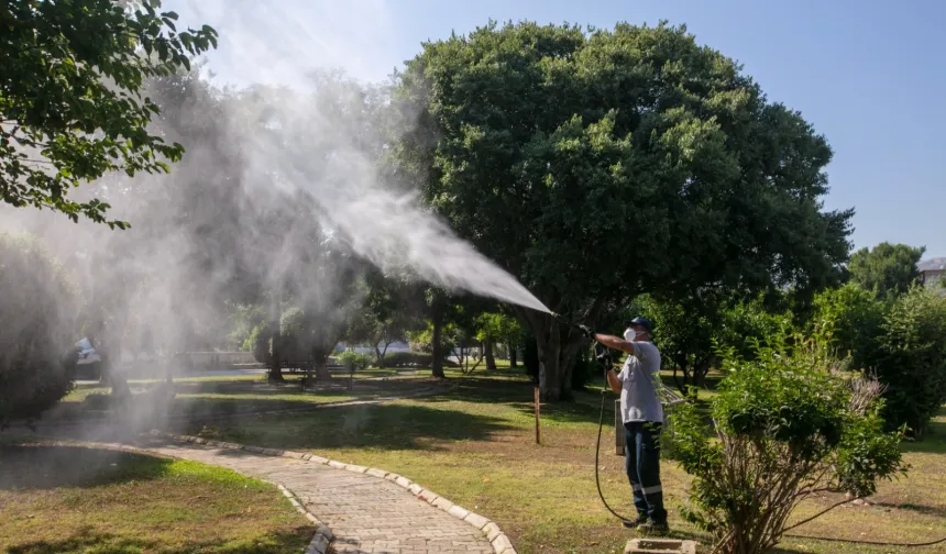 İzmir Güzelbahçe'de sezon ilaçlaması başladı