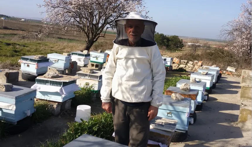 Süne mücadelesi faydalı canlıları tehdit ediyor