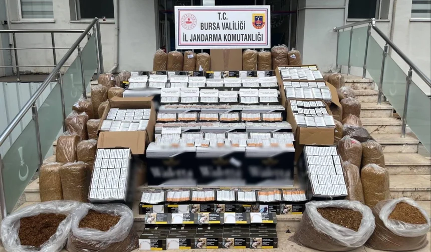 Gemlik'te kaçak tütün operasyonu