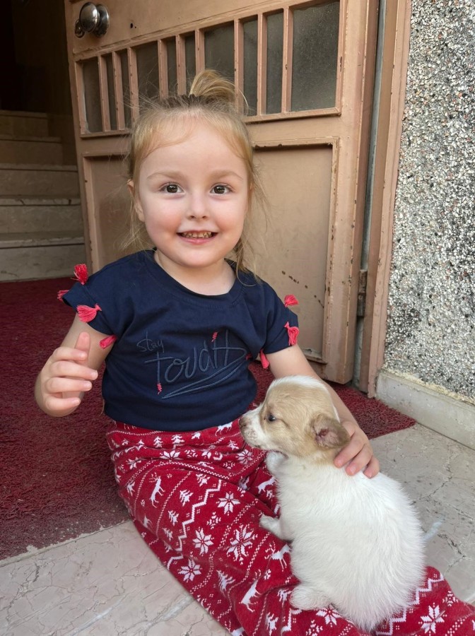 196143 68Bfd268D8988