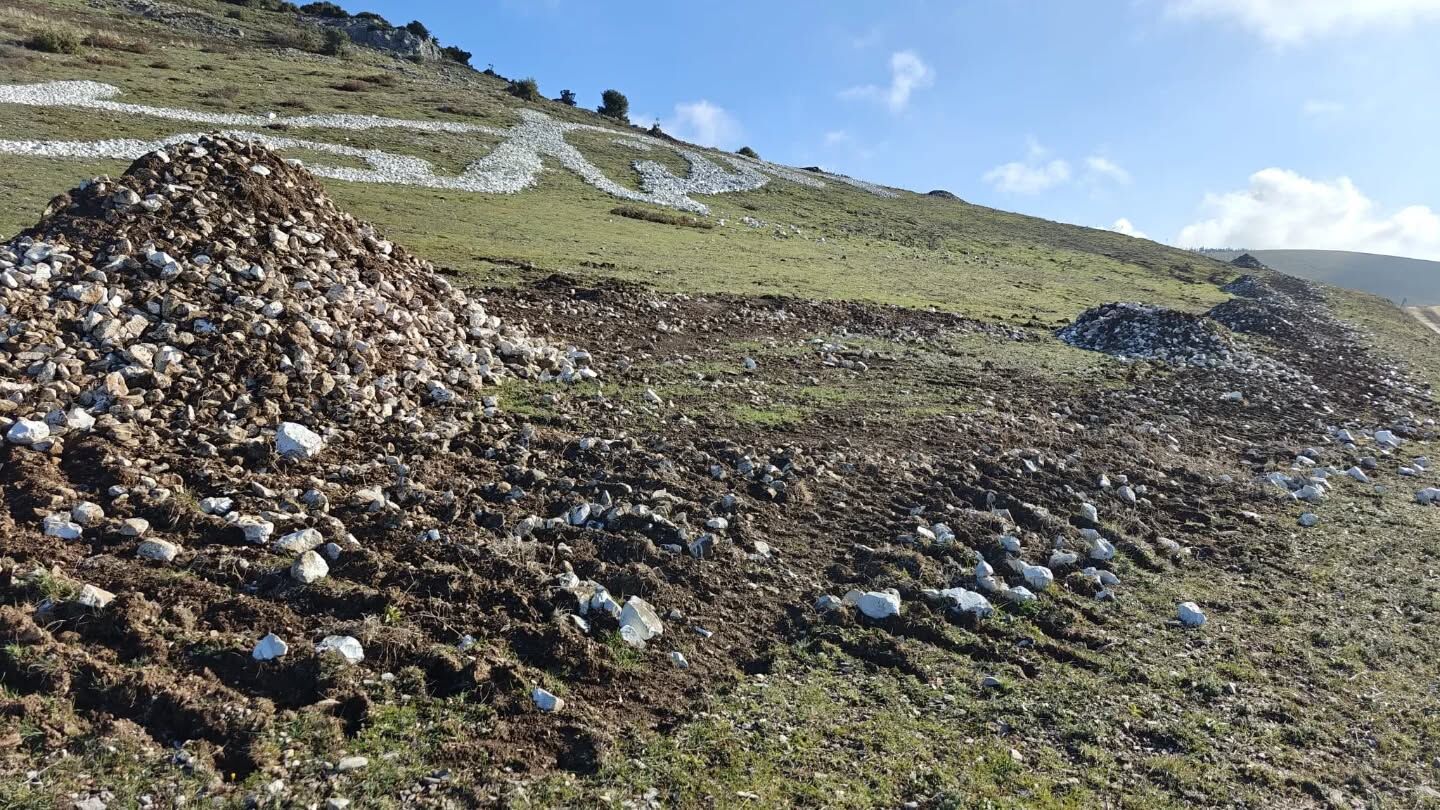 656020664 18309518362279285 5022242765443834501 N